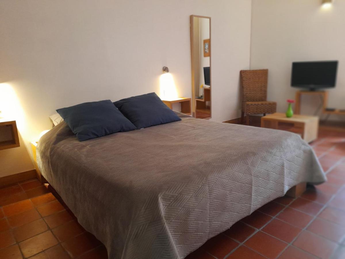 Les Studios De St Guilhem Сен-Гийём-ле-Дезер Экстерьер фото