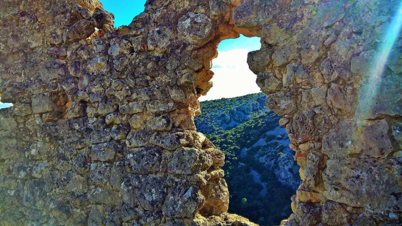 Les Studios De St Guilhem Сен-Гийём-ле-Дезер Экстерьер фото