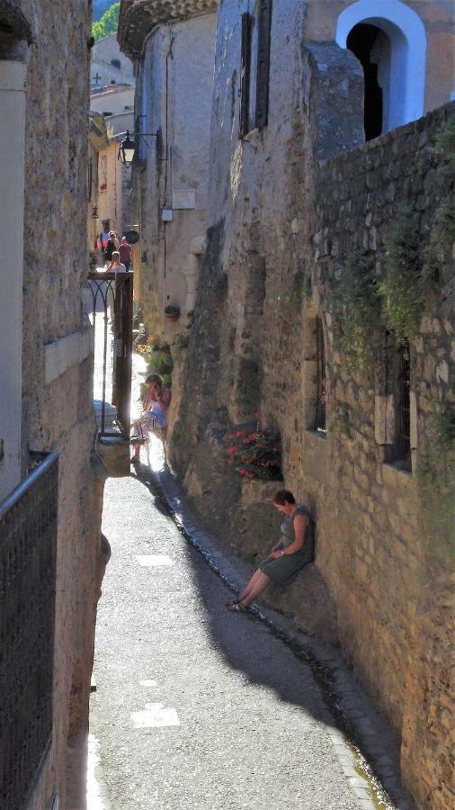 Les Studios De St Guilhem Сен-Гийём-ле-Дезер Экстерьер фото
