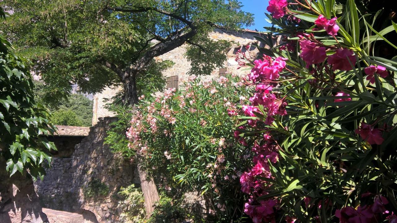 Les Studios De St Guilhem Сен-Гийём-ле-Дезер Экстерьер фото