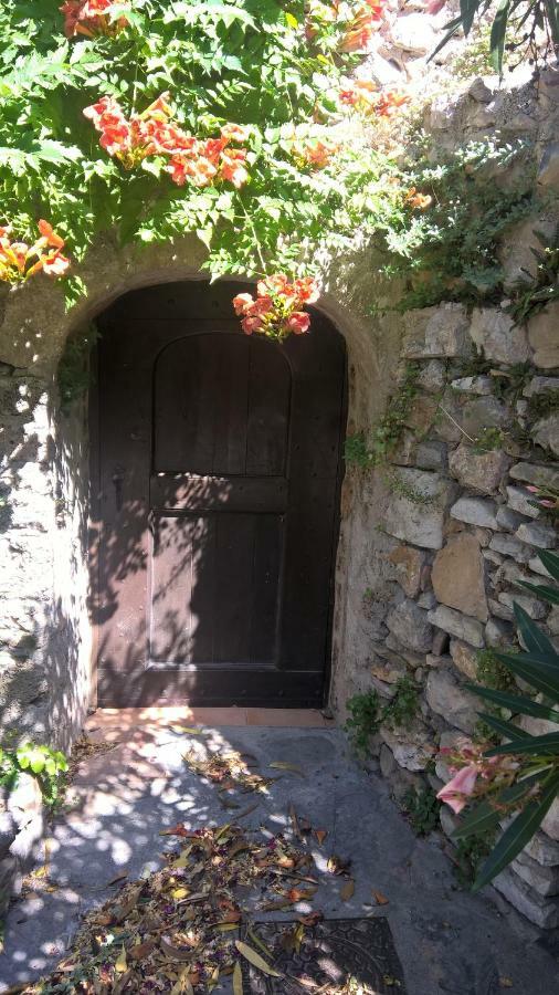 Les Studios De St Guilhem Сен-Гийём-ле-Дезер Экстерьер фото